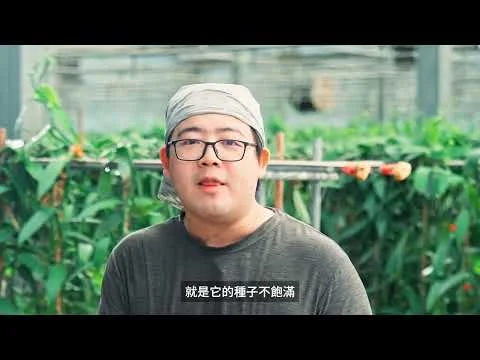 經濟部能源署＿太陽光電
