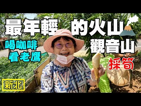 【觀音山】台灣最年輕的火山 旗竿湖農場 採筍體驗 獨角仙步道 豹豹咖啡 猛禽館 林梢步道 八里渡船頭 挖子尾自然保護區