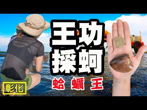 【王功芳苑】卷木森活館 王功採蚵 摸蛤蠣 鹿港 彰化